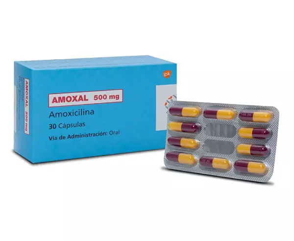 Amoxal 500 Mg